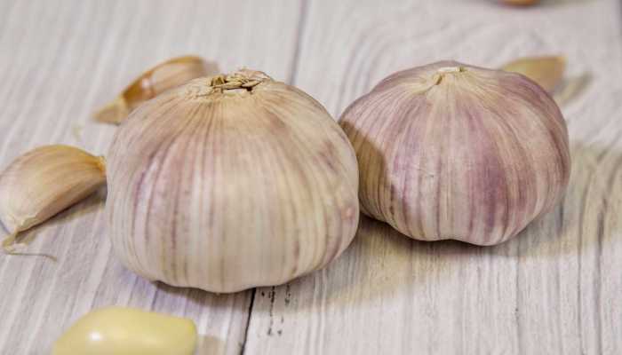 厨房中的食物医生，你知道哪些？