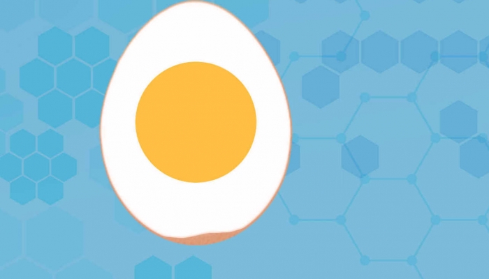 吃完鸡蛋不要吃这5种食物，很伤身