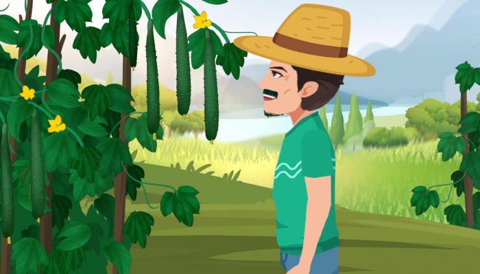 这些东西和豆腐一起吃秒变砒霜，90%的人都不知道