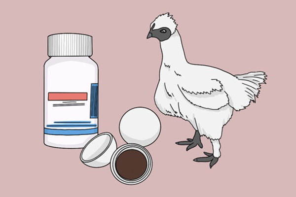 为什么减肥首选鸡胸肉，这篇文章告诉你