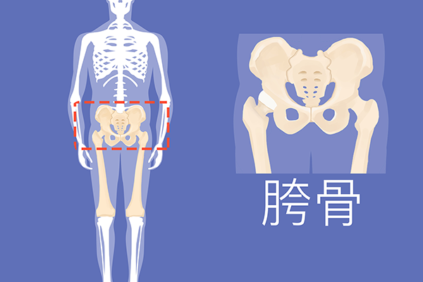 假胯宽看起来就是屁股大！3个方法帮你解决假胯宽