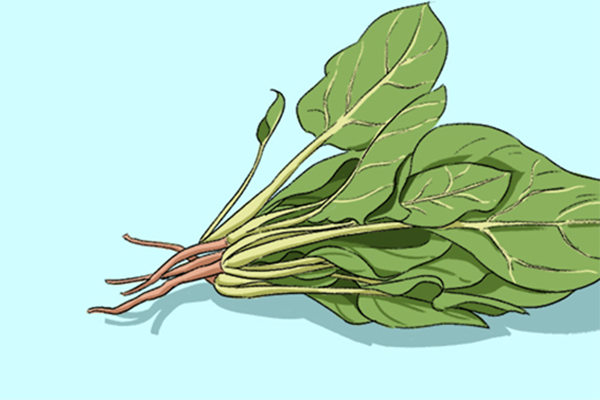 肉、菜、主食都不少才是减肥餐