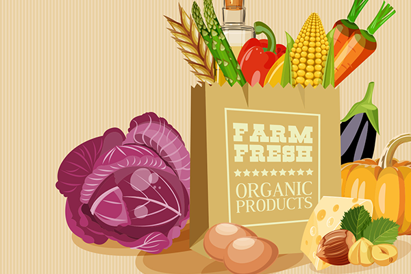 胖子想瘦，饮食上只有2个选择！聪明人都选了第2个