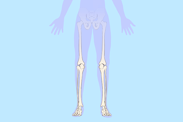 敲胆经真的瘦腿么？