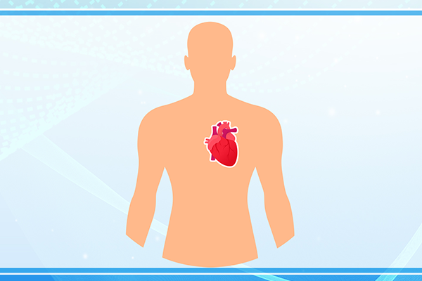 教你消除内脏脂肪，恢复苗条身材和健康的身体