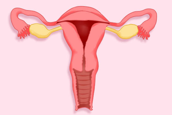 脱发是因为减肥？后果这么严重？