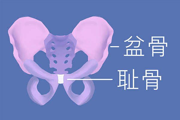 跷二郎腿 你的骨盆都歪了