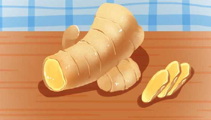 不撤姜食不多食