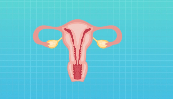 复方清带灌注液怎么用