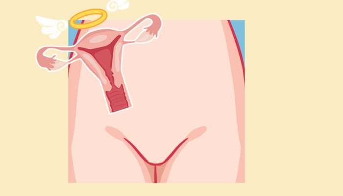 子宫全切后如何保养卵巢？掌握四招有效解决