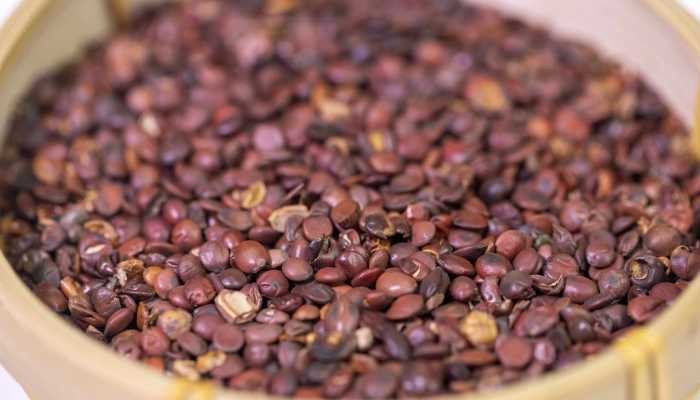 酸枣仁和什么一起助眠 酸枣仁的副作用