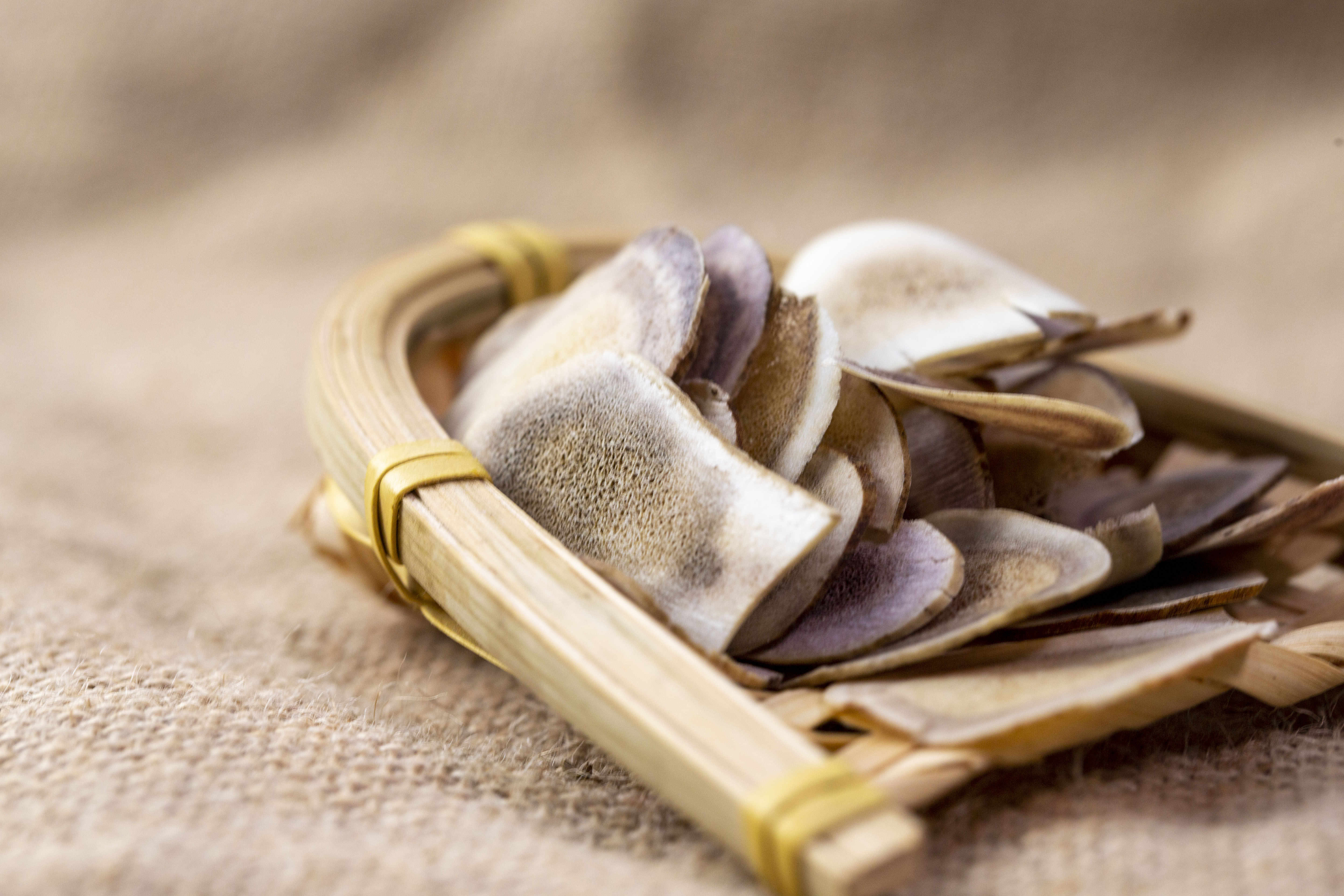 什么是鹿角 鹿角治什么病