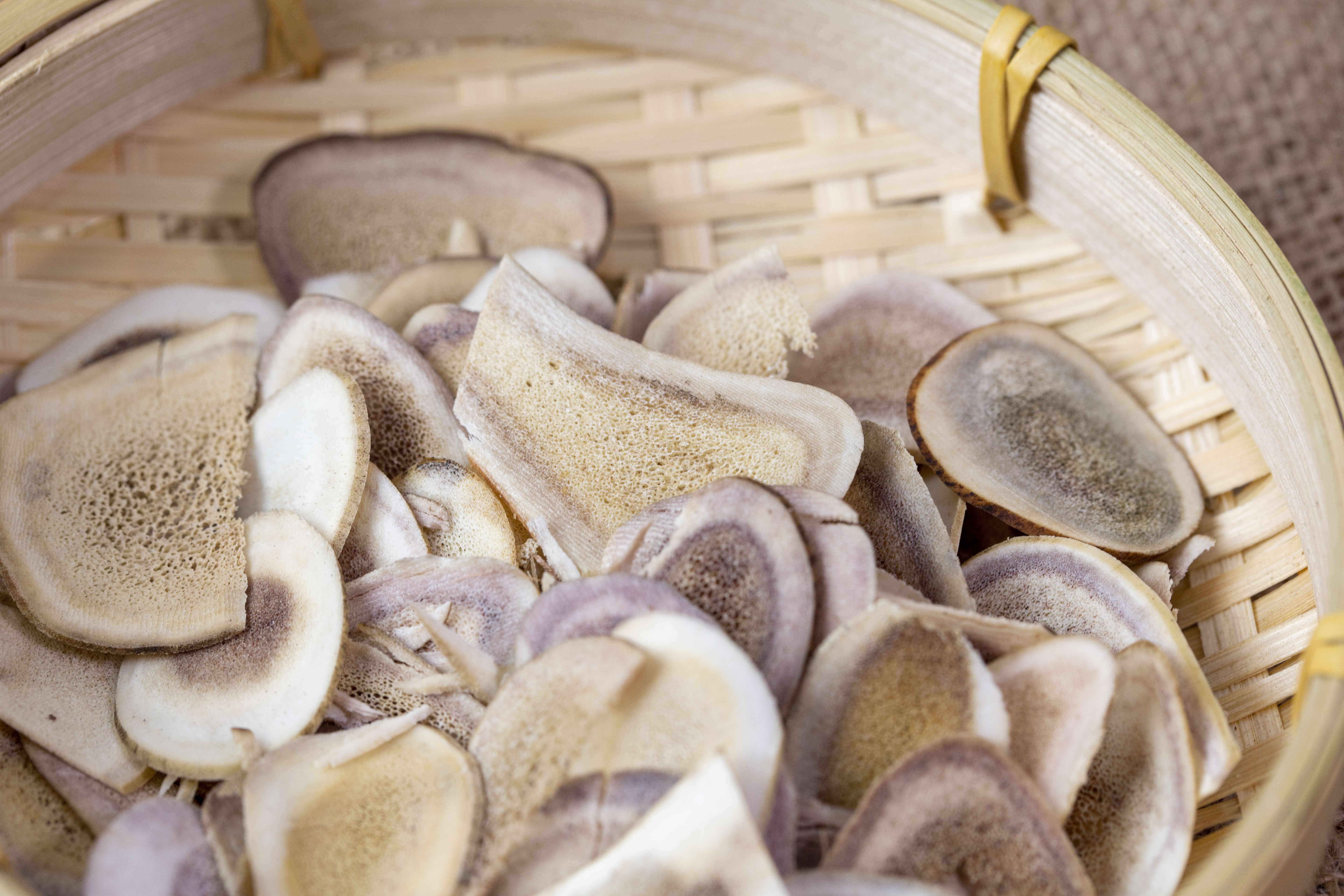 什么是鹿角 鹿角治什么病