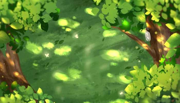 蝉泡酒有什么功效 蝉蜕泡酒喝的注意事项