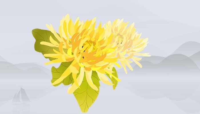 三花茶是哪三花？有什么功效