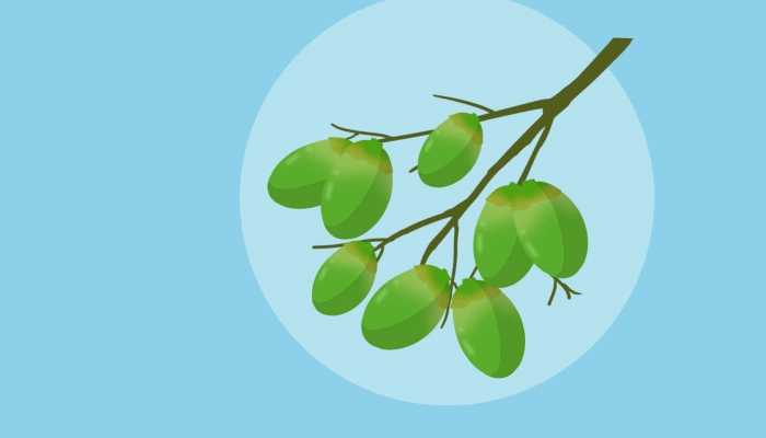 嚼槟榔的危害有哪些？你都知晓吗？