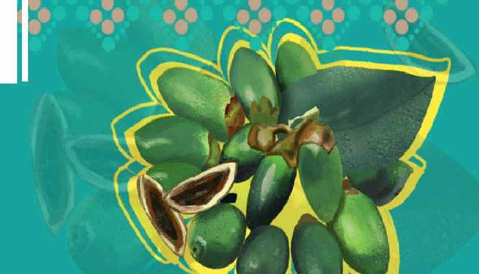 嚼槟榔的危害有哪些？你都知晓吗？