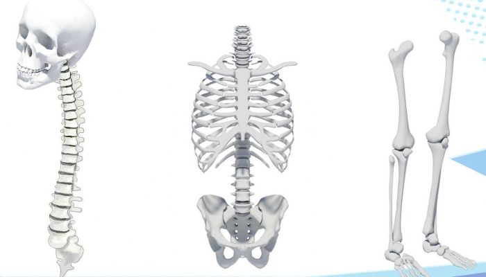 钙尔奇60粒多少钱一瓶