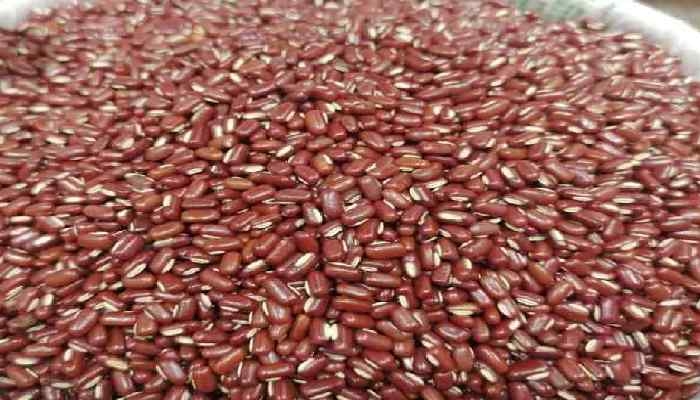 修正红豆薏米茶的功效可以减肥吗？