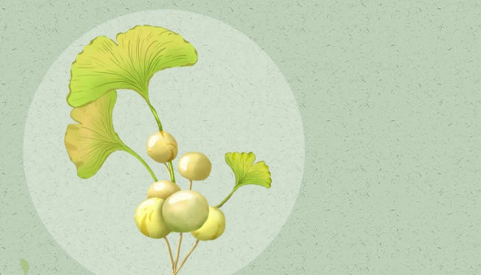 银杏叶啥时候黄