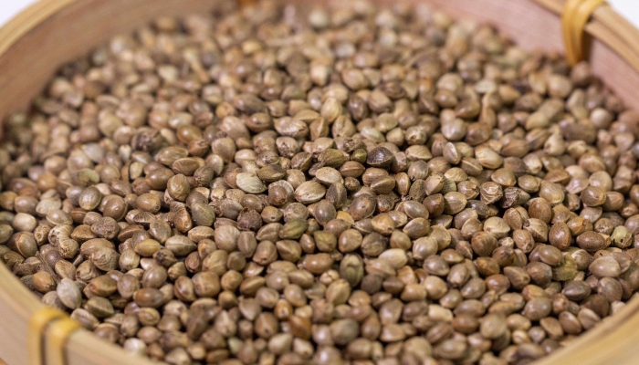 中药店有火麻仁油卖吗？