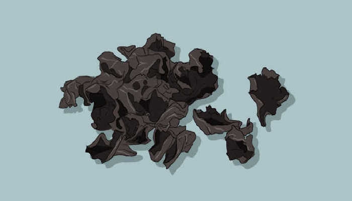 干木耳直接煮食有毒吗？