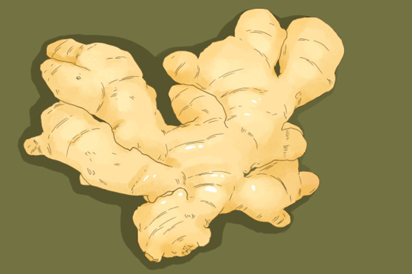 生姜能使身体气血运转利于减肥？