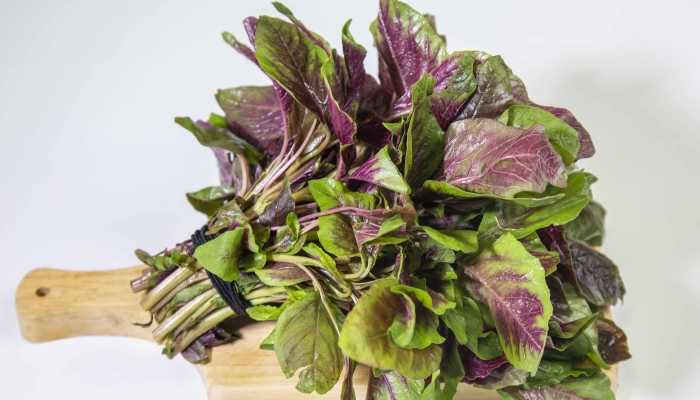 苋菜和羊肉能一起吃吗？ 羊肉不可以和什么一起吃