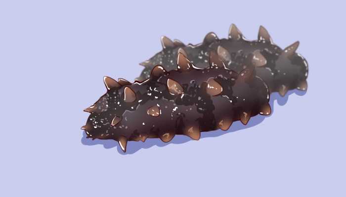 女性吃海参有什么好处 女性海参怎么吃