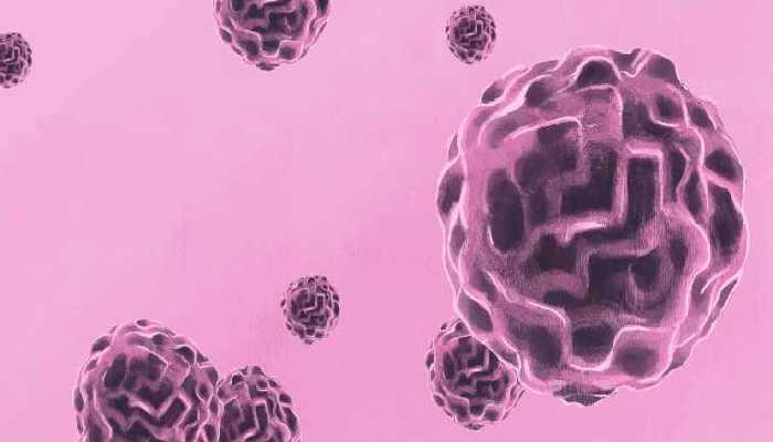 桑枣酒的功效 桑枣酒的作用