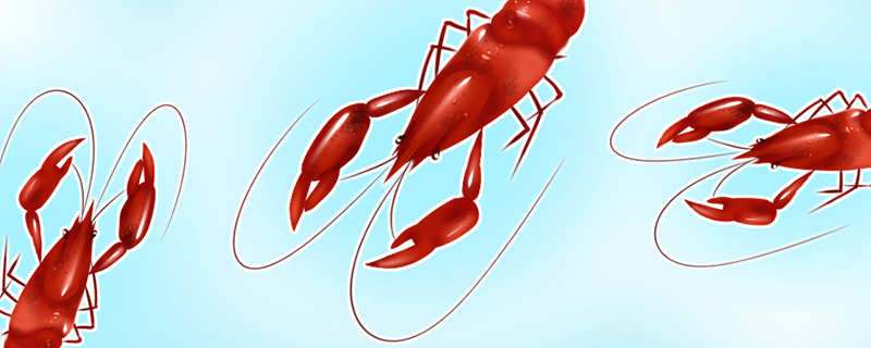 月经期能吃小龙虾吗？ 龙虾的营养使用价值