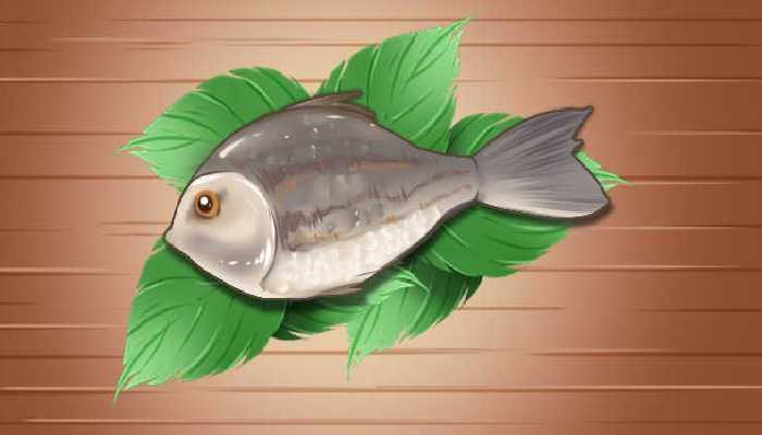 鱼肉脂肪含量高吗？ 什么鱼的脂肪率高