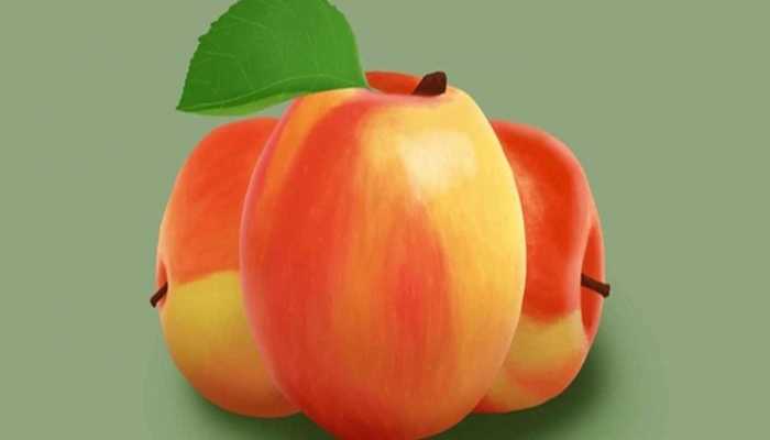 脑供血不足吃啥水果好 大脑供血不足吃哪些食物好