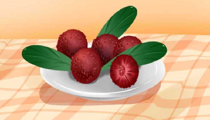 吃杨梅酒有哪些好处呢 杨梅的食用方法