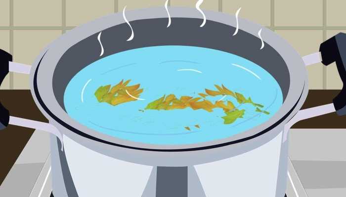 吃香椿芽的益处 吃香椿芽的弊端