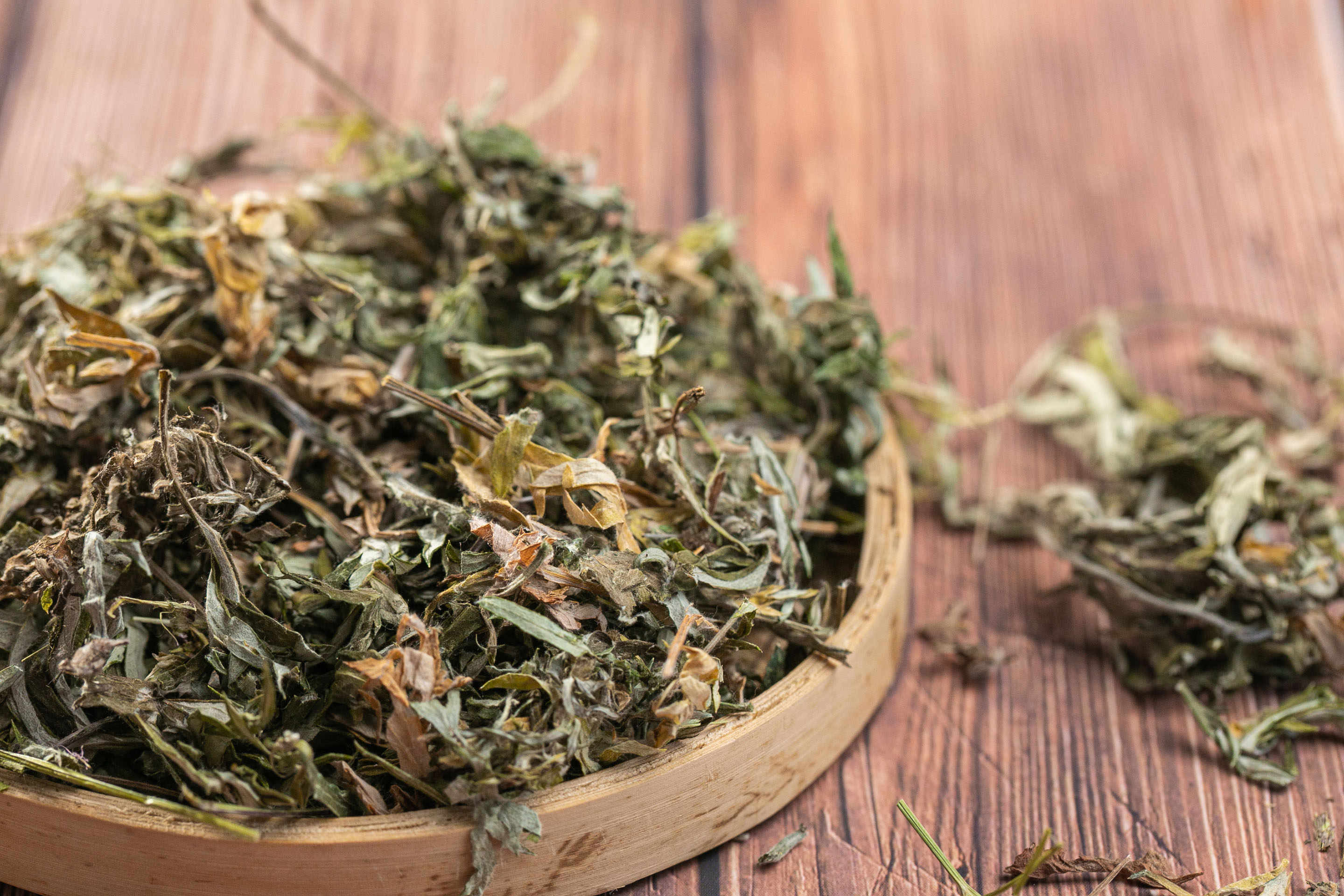艾叶草有哪些好处 艾叶草的功效