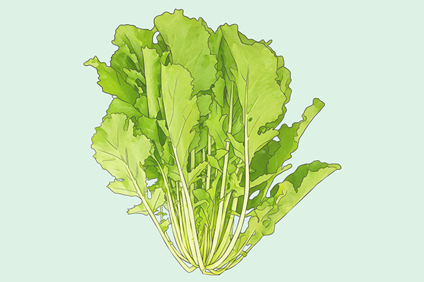 水煮菜怎么做？有什么类型的菜？