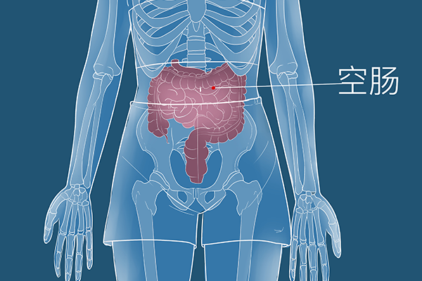 益生菌减肥有效吗？ 益生菌怎么吃减肥