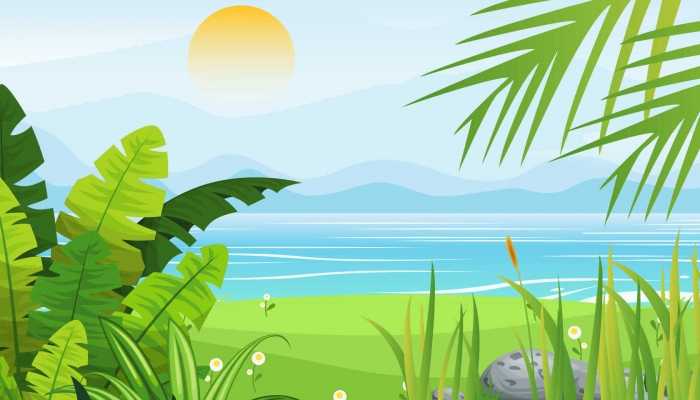 三伏天喝什么汤好？强烈推荐四款