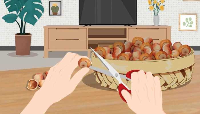 板栗一天吃多少合适 板栗吃多了会怎样