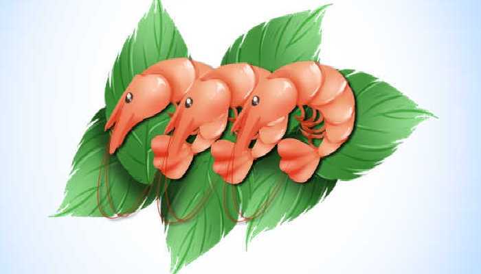 菠菜和虾仁能一起吃吗？ 菠菜和虾的食谱