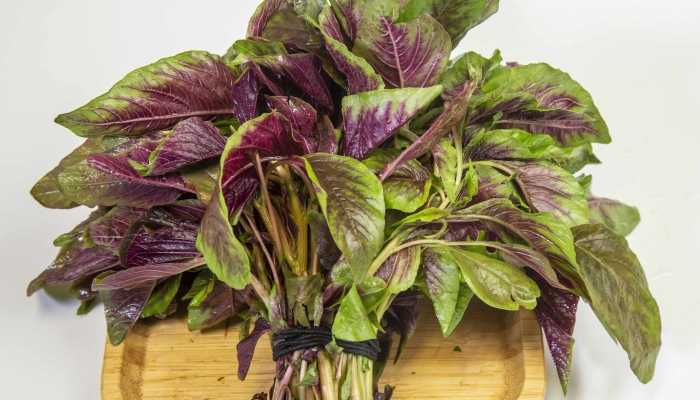 土豆和苋菜能一起吃吗？ 吃土豆注意事项