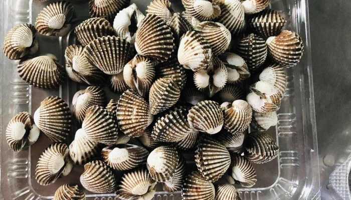 冬天吃海鲜好吗？ 冬天吃什么海鲜