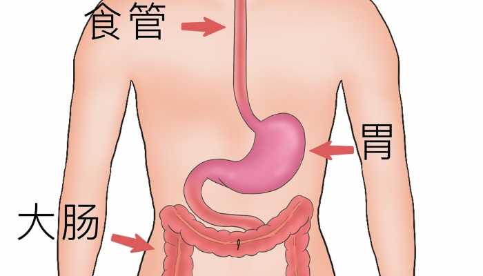 豆浆有什么功效 豆浆的营养价值