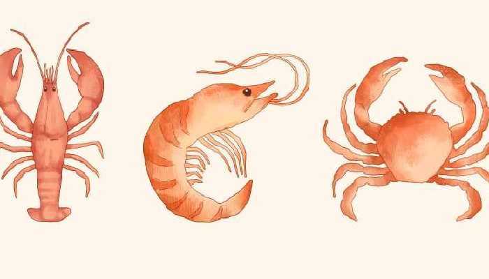 芒果核桃能一起吃吗？ 芒果不能和什么一起吃