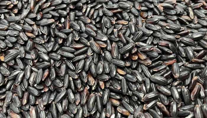 孕妇能不能吃黑米 黑米的营养价值