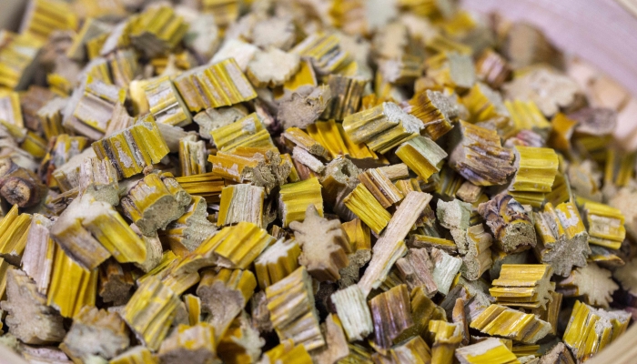 石斛花期参汤功效 石斛花期参汤的好处