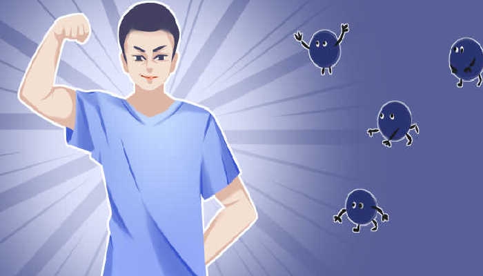 杮饼的功效 柿饼的营养价值