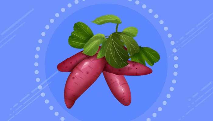 吃哪些东西可以排毒呢 排毒食物