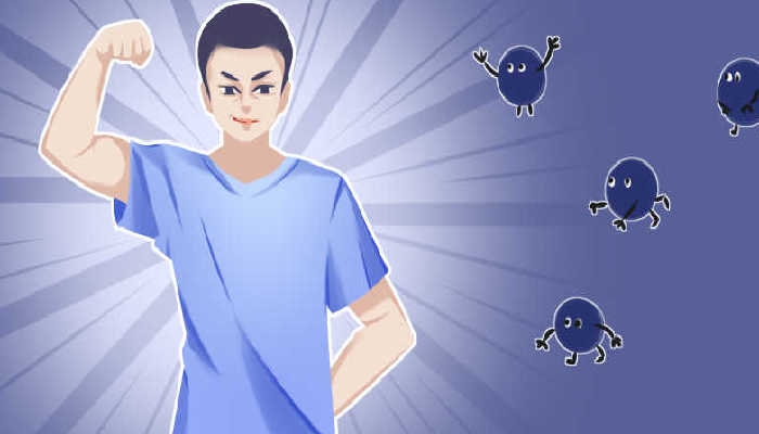 蝉蛹的功效与作用 蝉蛹的营养价值